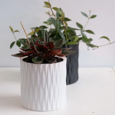 Chậu trồng cây vase mode LINES Crossed (Lines đan chéo)
