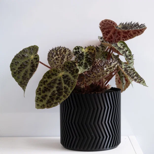 Chậu trồng cây ZigZag vase mode (ZigZag vase mode flowerpot planter) - Image 3