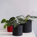Chậu cây vase mode LINES (flowerpot/planter) - Thumbnail 1