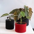 Chậu cây WAVY vase mode (flowerpot planter) uốn lượn - Thumbnail 1
