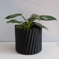 Chậu cây vase mode LINES (flowerpot/planter) - Thumbnail 3