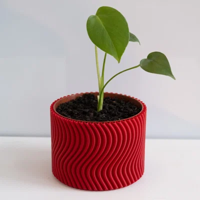 Chậu cây WAVY vase mode (flowerpot planter) uốn lượn