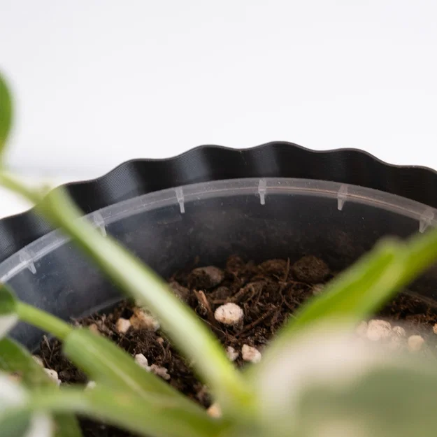 Chậu cây vase mode LINES (flowerpot/planter) - Image 4