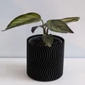 Chậu cây WAVY vase mode (flowerpot planter) uốn lượn - Thumbnail 4