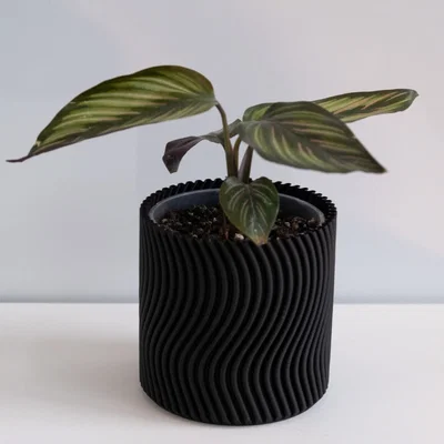 Chậu cây WAVY vase mode (flowerpot planter) uốn lượn