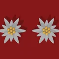 Bông tai/Phụ kiện Hoa Edelweiss - Thumbnail 10