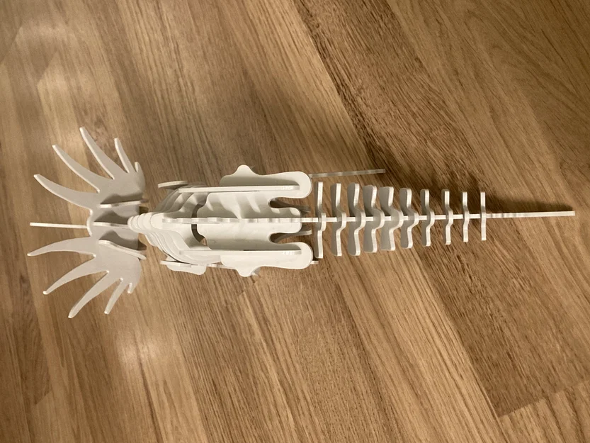 Bộ puzzle 3D Styracosaurus dạng kit card - Image 4