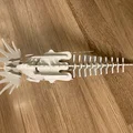 Bộ puzzle 3D Styracosaurus dạng kit card - Thumbnail 4
