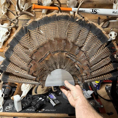 Giá Treo Tường Đuôi Xòe Gà Tây (Turkey Fan Tail Wall Mount)