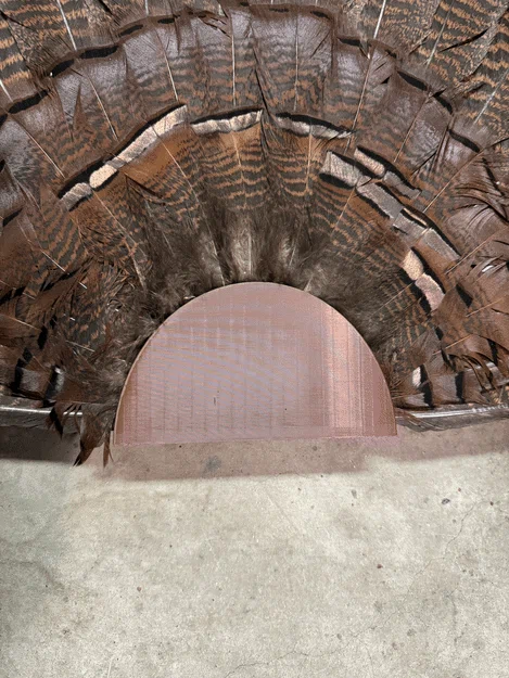 Giá Treo Tường Đuôi Xòe Gà Tây (Turkey Fan Tail Wall Mount) - Image 4