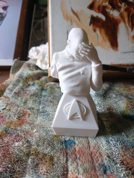 Mô hình 3D Captain Picard Facepalm - Biểu tượng kinh điển Star Trek - Image 1