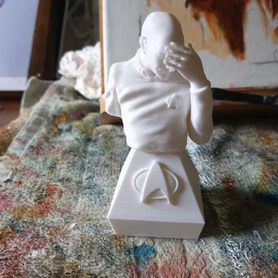 Mô hình 3D Captain Picard Facepalm - Biểu tượng kinh điển Star Trek