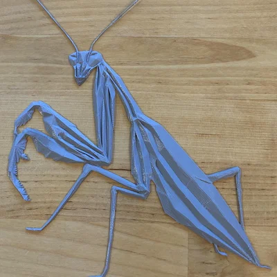 Bọ ngựa hình học (Geometric Praying Mantis)