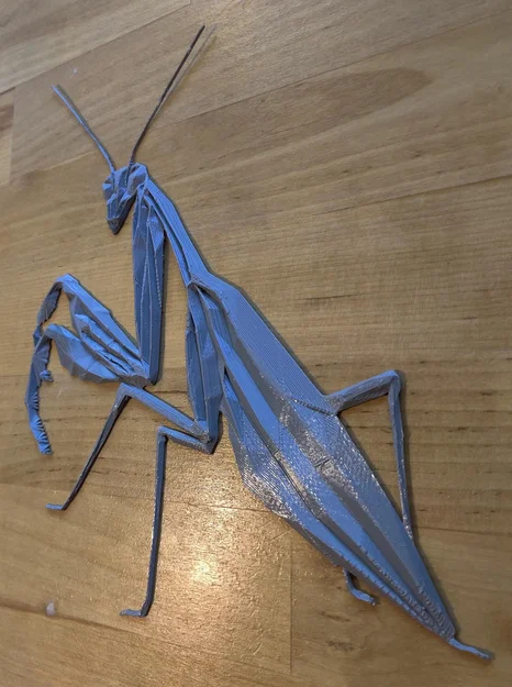 Bọ ngựa hình học (Geometric Praying Mantis) - Image 2