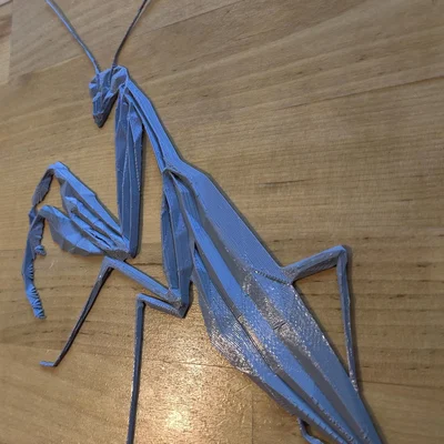 Bọ ngựa hình học (Geometric Praying Mantis)