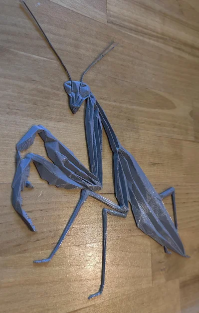 Bọ ngựa hình học (Geometric Praying Mantis) - Image 3