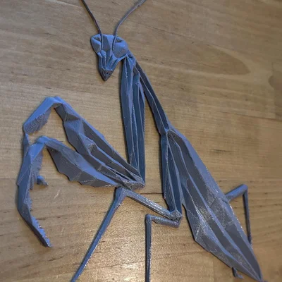 Bọ ngựa hình học (Geometric Praying Mantis)