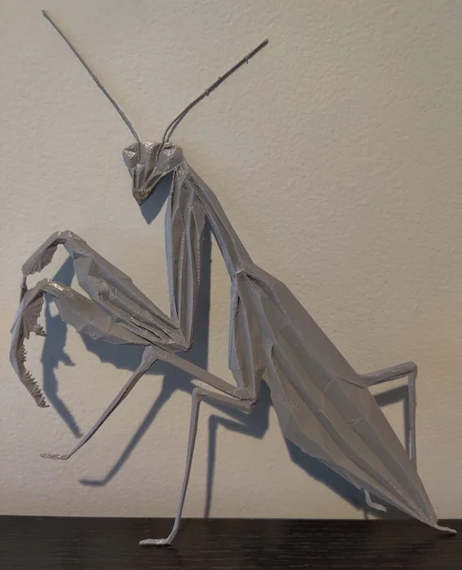 Bọ ngựa hình học (Geometric Praying Mantis) - Image 4