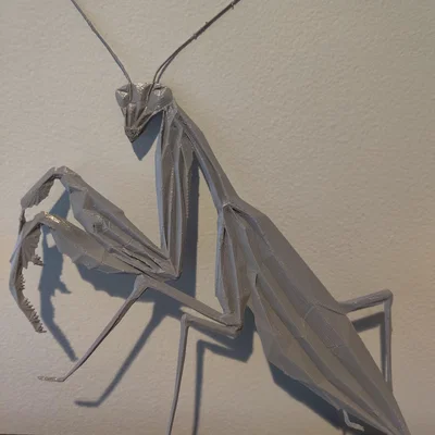 Bọ ngựa hình học (Geometric Praying Mantis)