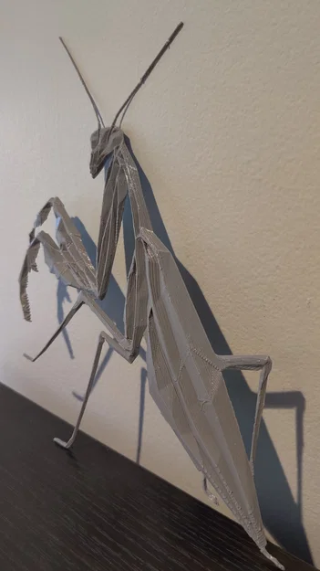 Bọ ngựa hình học (Geometric Praying Mantis) - Image 5