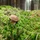 Matyaash_97790
