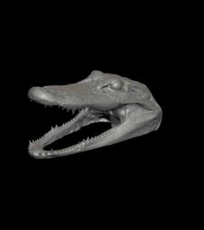 Mô hình đầu cá sấu 3D chi tiết dùng trang trí cực ngầu - Image 2