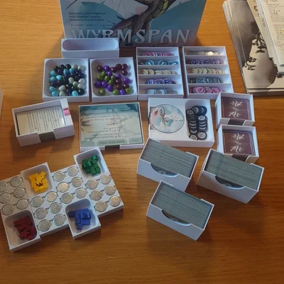 Khay đựng Wyrmspan dành cho bài có bọc sleeve dày