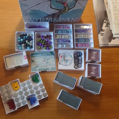 Khay đựng Wyrmspan dành cho bài có bọc sleeve dày