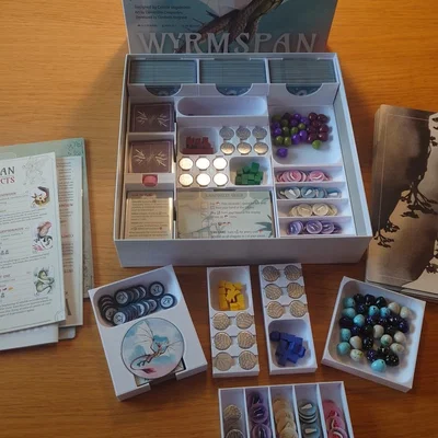 Khay đựng Wyrmspan dành cho bài có bọc sleeve dày