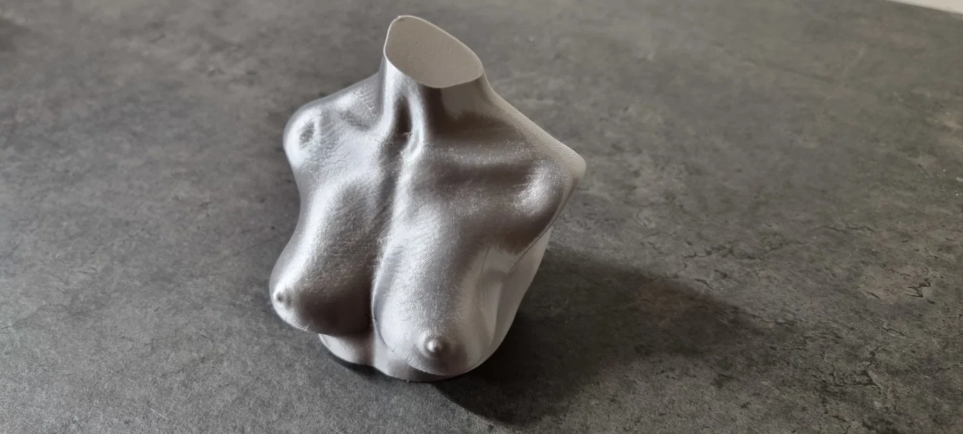 Boobies & Booty - Mô hình NSFW - Image 1