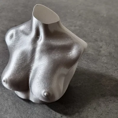 Boobies & Booty - Mô hình NSFW