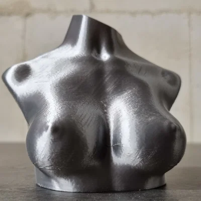 Boobies & Booty - Mô hình NSFW