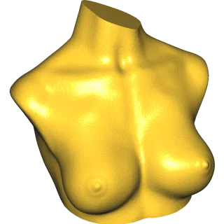 Boobies & Booty - Mô hình NSFW