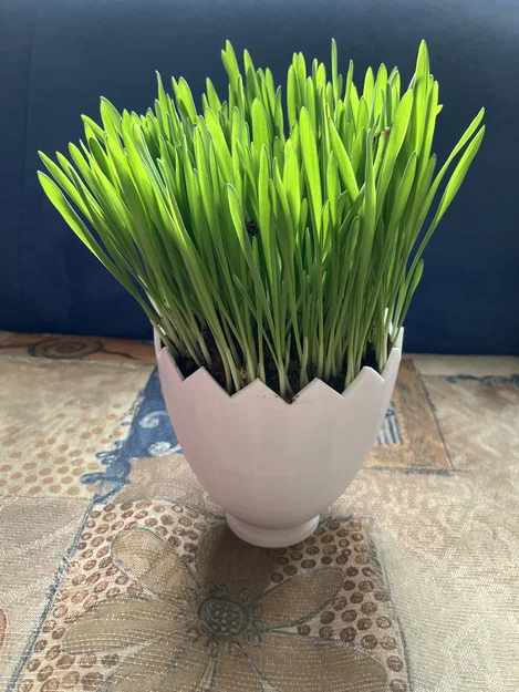 Mô hình 3D chậu cây vỏ trứng nứt trang trí Phục sinh - Image 1