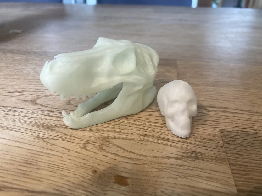Mô hình hộp sọ T-Rex và đầu lâu người in 3D nghệ thuật - Image 1
