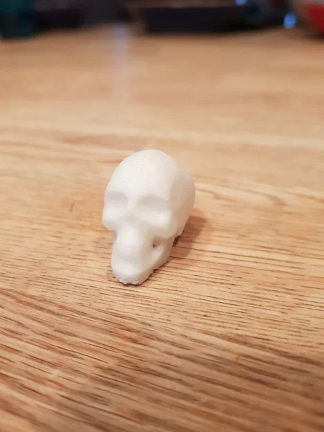 Mô hình hộp sọ T-Rex và đầu lâu người in 3D nghệ thuật - Image 3
