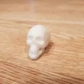 Mô hình hộp sọ T-Rex và đầu lâu người in 3D nghệ thuật - Thumbnail 3