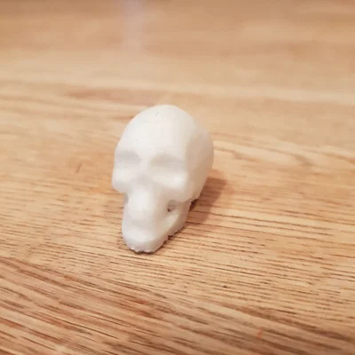 Mô hình hộp sọ T-Rex và đầu lâu người in 3D nghệ thuật