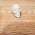 Mô hình hộp sọ T-Rex và đầu lâu người in 3D nghệ thuật - Thumbnail 4
