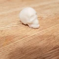 Mô hình hộp sọ T-Rex và đầu lâu người in 3D nghệ thuật - Thumbnail 6