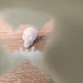 Mô hình hộp sọ T-Rex và đầu lâu người in 3D nghệ thuật - Thumbnail 7