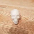 Mô hình hộp sọ T-Rex và đầu lâu người in 3D nghệ thuật - Thumbnail 8