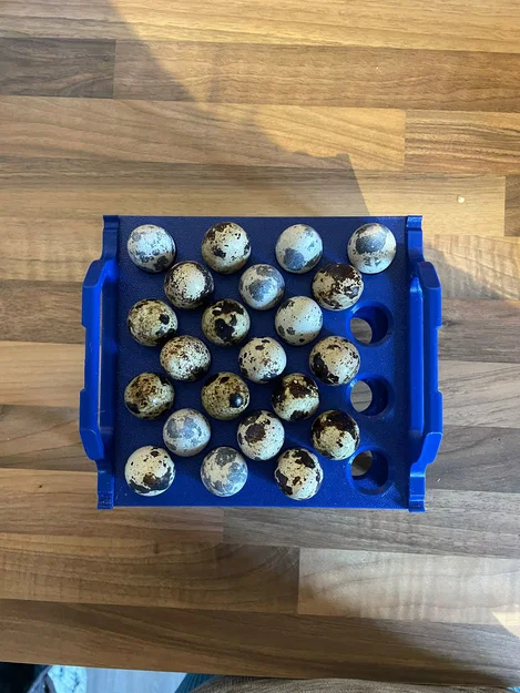 Khay đựng trứng cút (loại xếp chồng) - Image 2