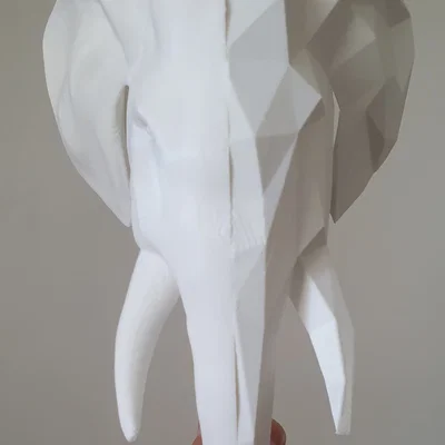 HALF&HALF - Tượng đầu voi phong cách Geometric