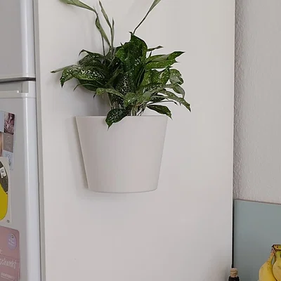 Mẫu chậu cây treo tường in 3D thiết kế bền bỉ, dễ lắp đặt