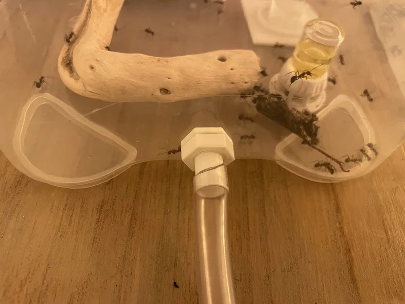 Đầu nối Outworld cho ống dẫn 9mm - Image 3