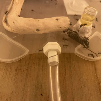 Đầu nối Outworld cho ống dẫn 9mm