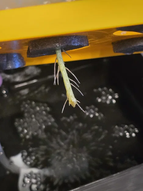 Super Cloner / Plant Rooter (Bộ giâm cành aeroponics) - Image 11