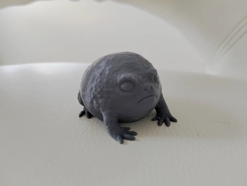 Ếch Mưa Sa Mạc – Bản Remix (không đế) - Image 1