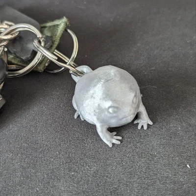 Móc khóa ếch sa mạc Desert Rain Frog dễ thương (File in 3D)